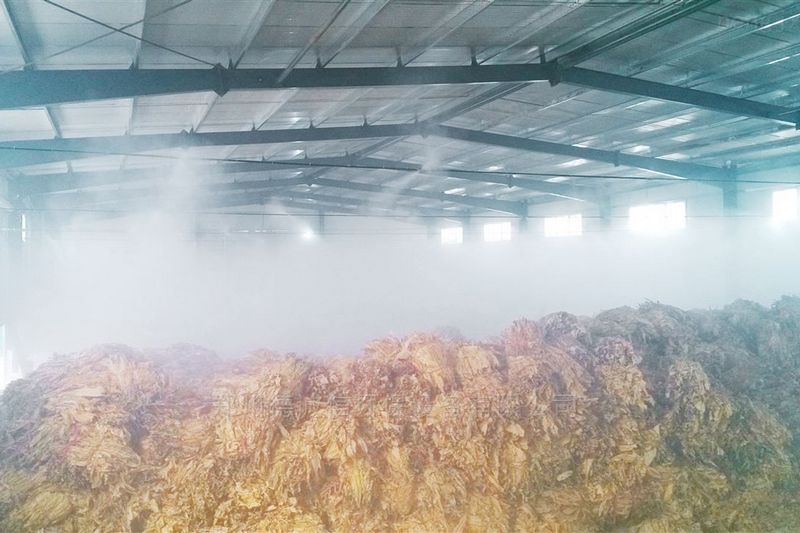 提升煙葉加工質(zhì)量，高效回潮很重要