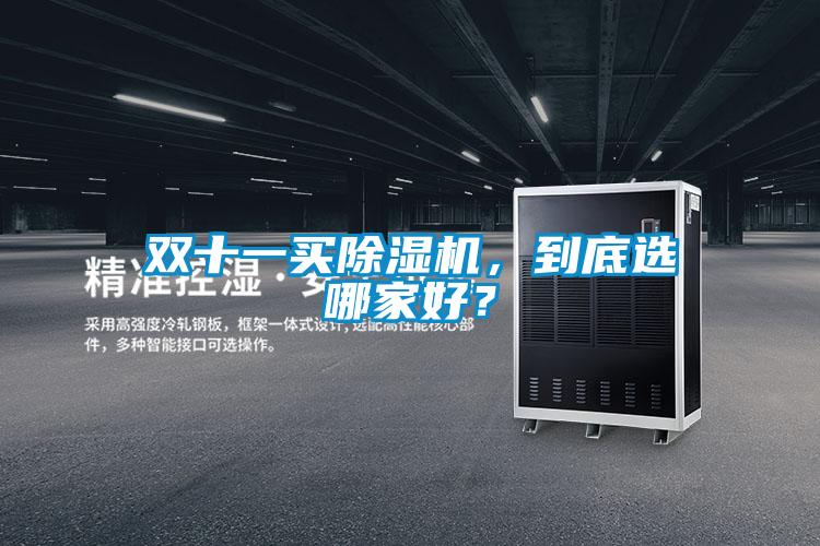 雙十一買除濕機，到底選哪家好？