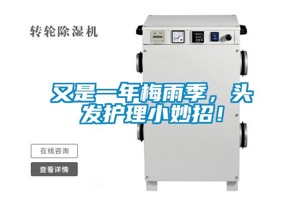 又是一年梅雨季，頭發(fā)護理小妙招！