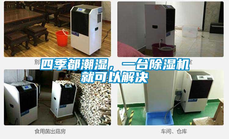 四季都潮濕，一臺除濕機就可以解決