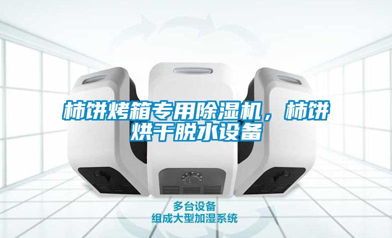 柿餅烤箱專用除濕機(jī)，柿餅烘干脫水設(shè)備