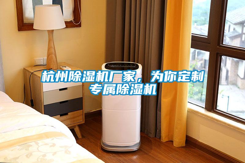 杭州除濕機廠家，為你定制專屬除濕機