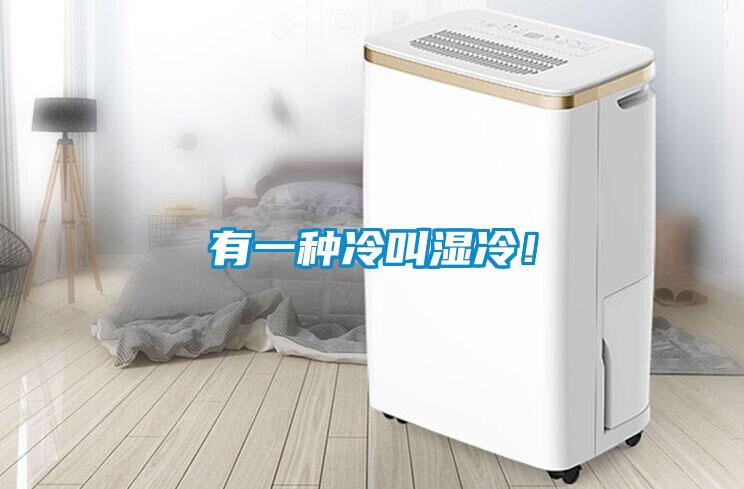 有一種冷叫濕冷！