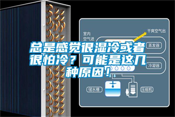 總是感覺很濕冷或者很怕冷？可能是這幾種原因！