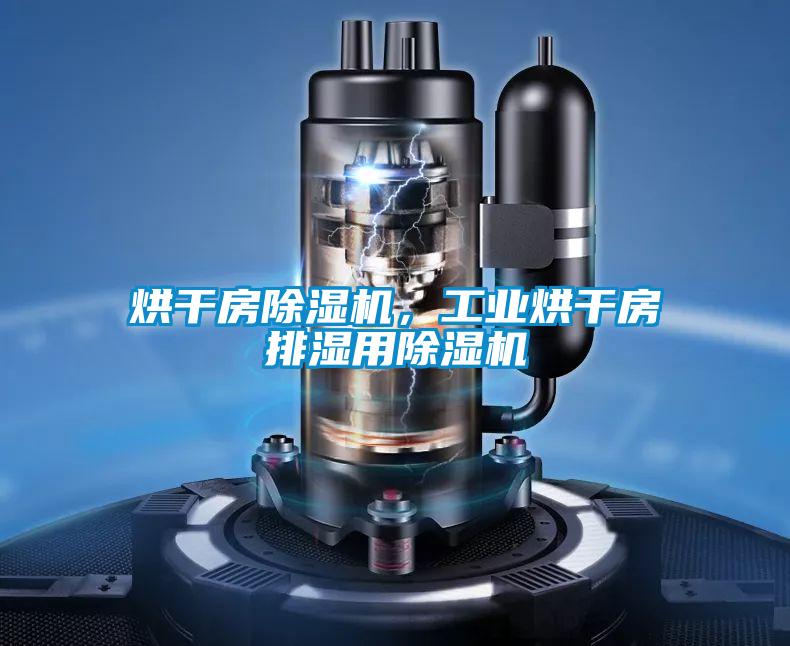 烘干房除濕機，工業(yè)烘干房排濕用除濕機