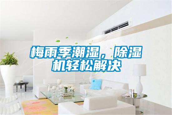 梅雨季潮濕，除濕機(jī)輕松解決