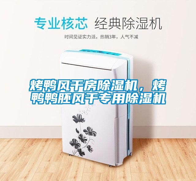 烤鴨風(fēng)干房除濕機(jī)，烤鴨鴨胚風(fēng)干專用除濕機(jī)