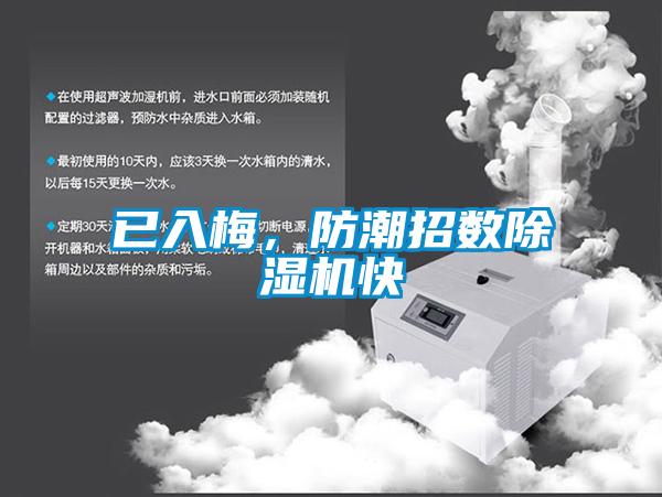 已入梅，防潮招數(shù)除濕機(jī)快