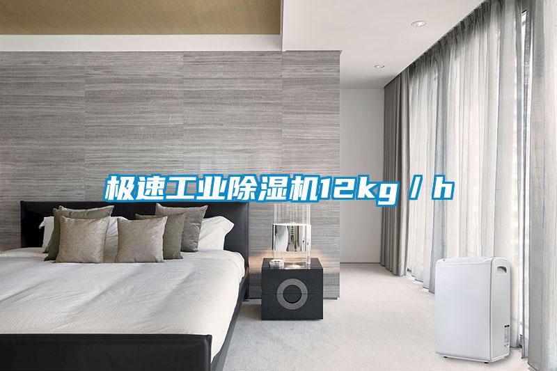 極速工業(yè)除濕機12kg／h