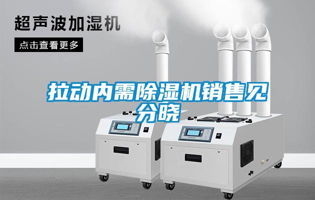 拉動(dòng)內(nèi)需除濕機(jī)銷售見分曉