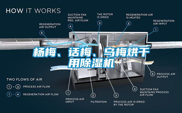 楊梅、話梅、烏梅烘干用除濕機