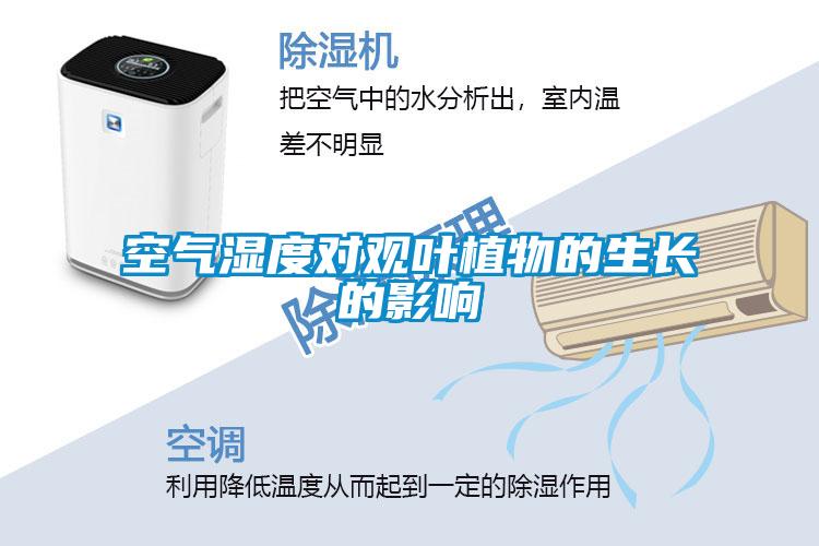 空氣濕度對(duì)觀葉植物的生長(zhǎng)的影響