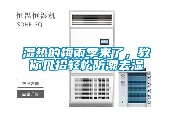 濕熱的梅雨季來了，教你幾招輕松防潮去濕
