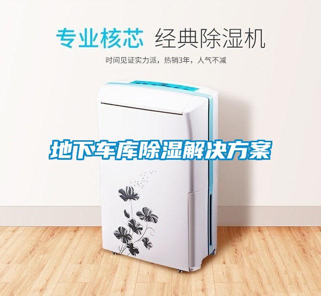 地下車(chē)庫(kù)除濕解決方案