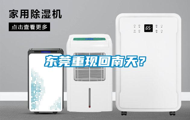 東莞重現(xiàn)回南天?