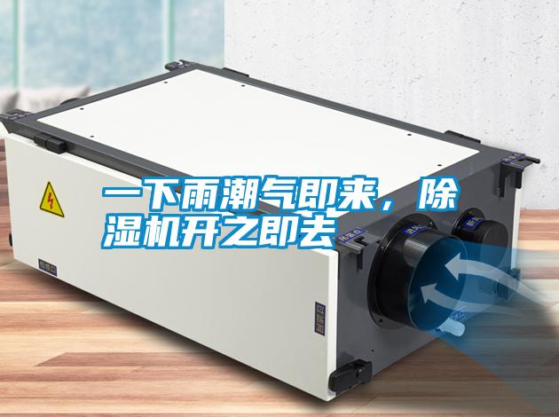 一下雨潮氣即來，除濕機(jī)開之即去