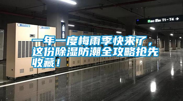 一年一度梅雨季快來了，這份除濕防潮全攻略搶先收藏！