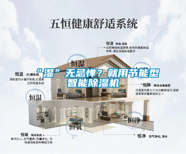 “濕”無忌憚？就用節(jié)能型智能除濕機(jī)