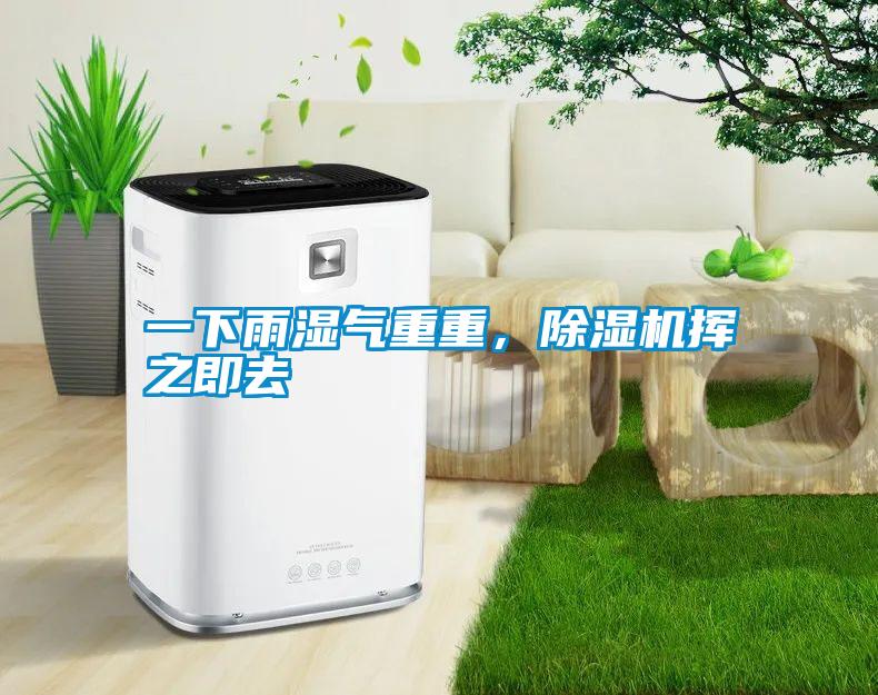 一下雨濕氣重重，除濕機(jī)揮之即去