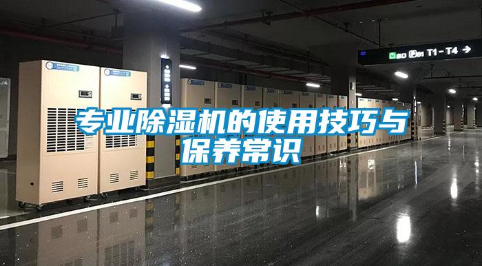 專業(yè)除濕機(jī)的使用技巧與保養(yǎng)常識(shí)