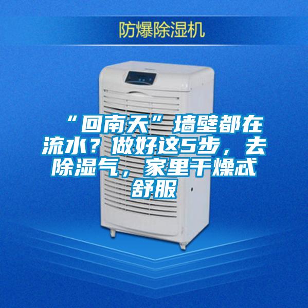 “回南天”墻壁都在流水？做好這5步，去除濕氣，家里干燥忒舒服