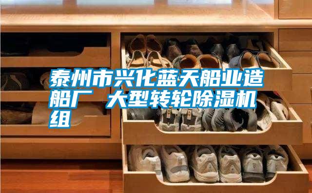 泰州市興化藍(lán)天船業(yè)造船廠 大型轉(zhuǎn)輪除濕機組