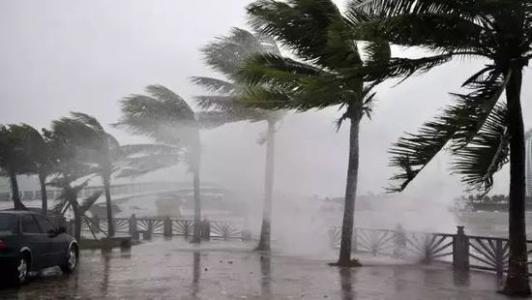 8月臺(tái)風(fēng)雨即將來(lái)，除濕機(jī)還得用起來(lái)