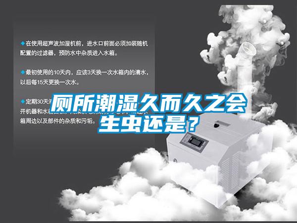 廁所潮濕久而久之會(huì)生蟲還是？