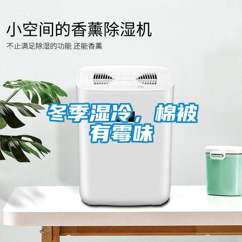 冬季濕冷，棉被有霉味