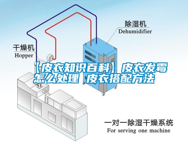 【皮衣知識(shí)百科】皮衣發(fā)霉怎么處理 皮衣搭配方法