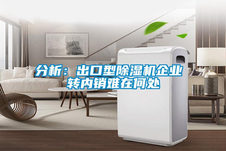 分析：出口型除濕機(jī)企業(yè) 轉(zhuǎn)內(nèi)銷難在何處