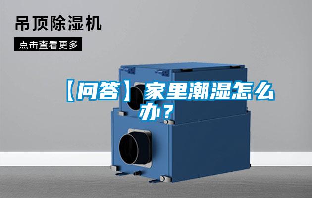 【問答】家里潮濕怎么辦？