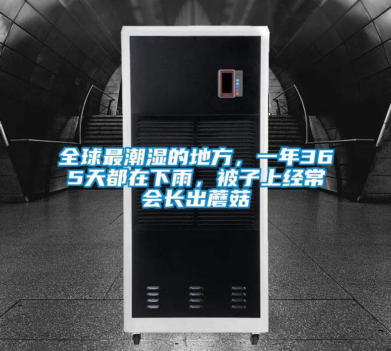 全球最潮濕的地方，一年365天都在下雨，被子上經(jīng)常會(huì)長(zhǎng)出蘑菇