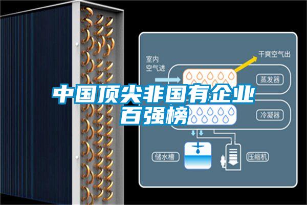 中國(guó)頂尖非國(guó)有企業(yè)百?gòu)?qiáng)榜