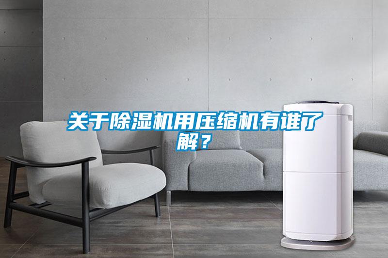 關(guān)于除濕機(jī)用壓縮機(jī)有誰了解？