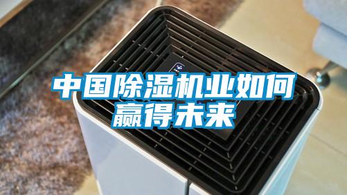 中國(guó)除濕機(jī)業(yè)如何贏得未來(lái)