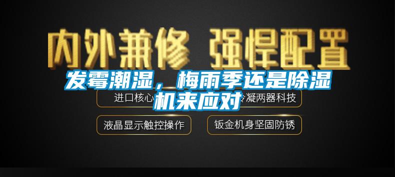 發(fā)霉潮濕，梅雨季還是除濕機來應(yīng)對