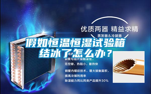 假如恒溫恒濕試驗(yàn)箱結(jié)冰了怎么辦？