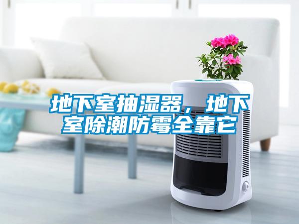 地下室抽濕器，地下室除潮防霉全靠它