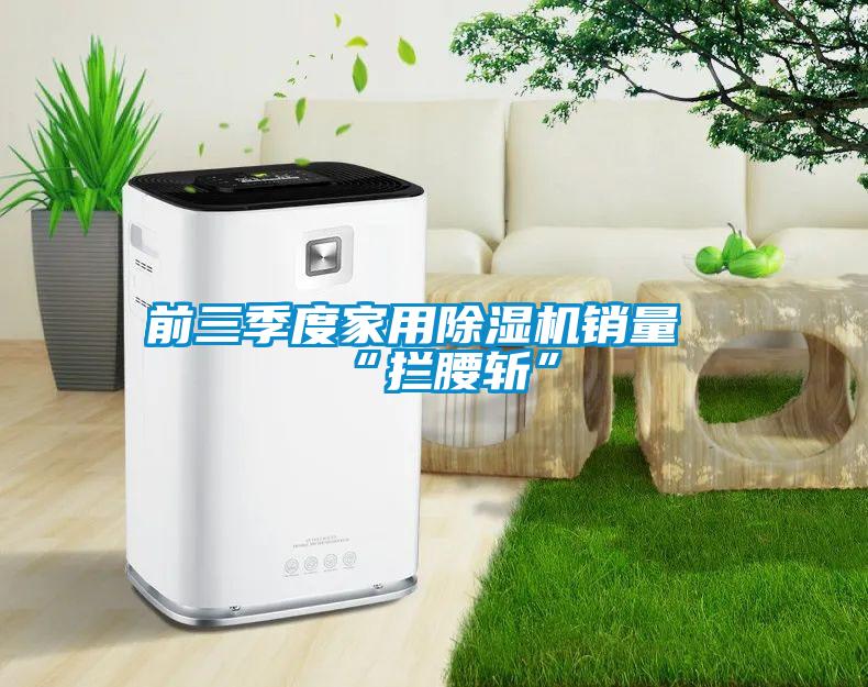 前三季度家用除濕機(jī)銷量“攔腰斬”