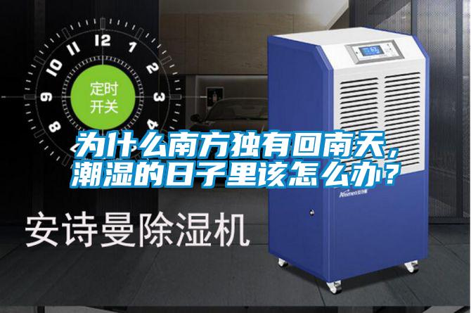 為什么南方獨有回南天，潮濕的日子里該怎么辦？