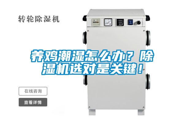 養(yǎng)雞潮濕怎么辦？除濕機選對是關鍵！