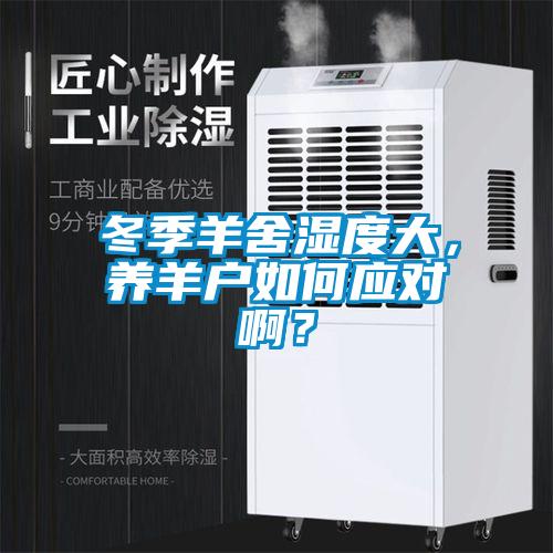 冬季羊舍濕度大，養(yǎng)羊戶如何應對??？