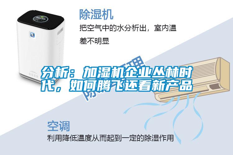 分析：加濕機(jī)企業(yè)叢林時(shí)代，如何騰飛還看新產(chǎn)品
