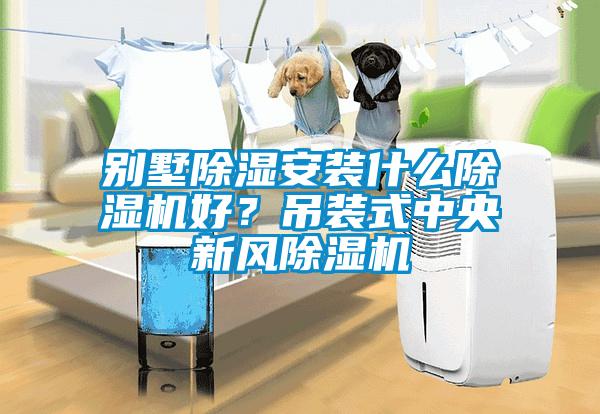 別墅除濕安裝什么除濕機好？吊裝式中央新風(fēng)除濕機