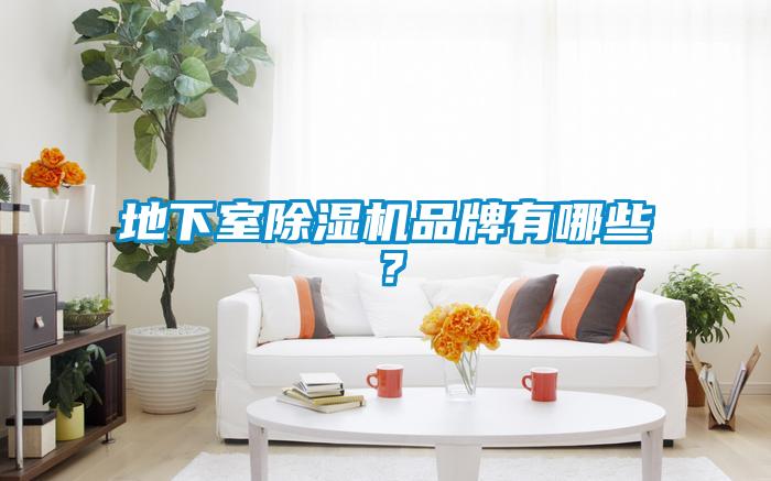 地下室除濕機(jī)品牌有哪些？
