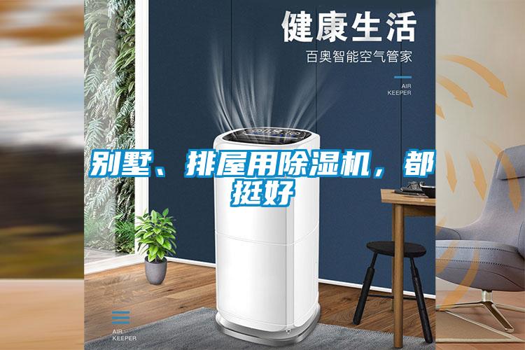 別墅、排屋用除濕機(jī)，都挺好