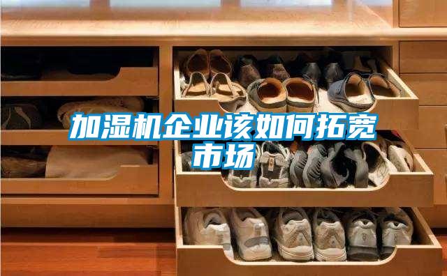 加濕機(jī)企業(yè)該如何拓寬市場(chǎng)