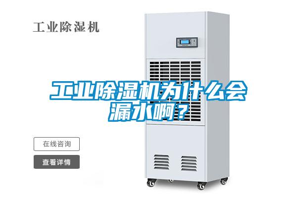 工業(yè)除濕機(jī)為什么會(huì)漏水啊？