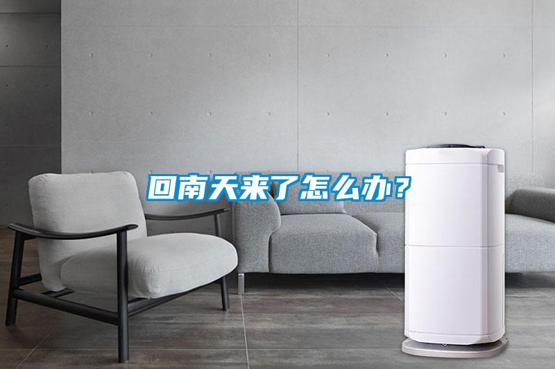 回南天來了怎么辦？